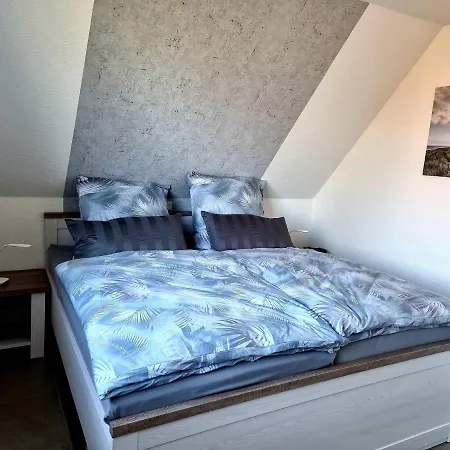 Schwalbennest Kock Hagermarsch